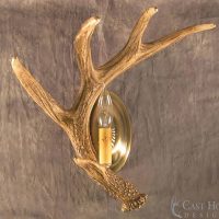 deer antler sconces