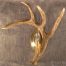 Whitetail Deer Right Antler Wall Sconce W1S RIGHT