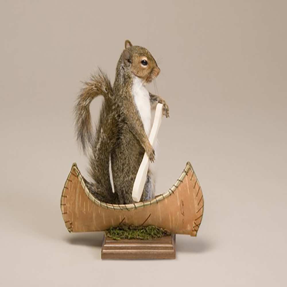 Squirrel (Canoeing)