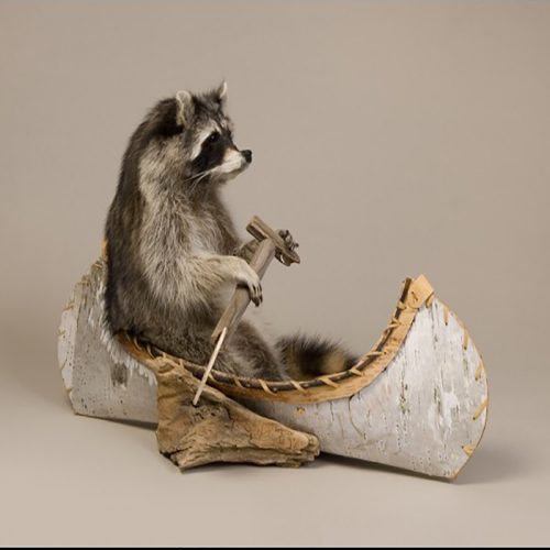 Canoeing Raccoon (Single)